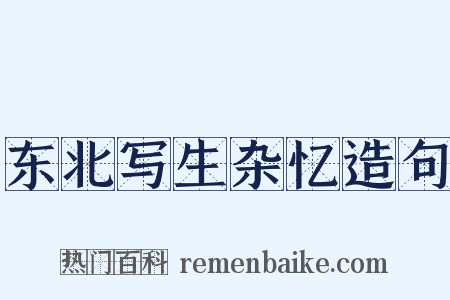 东北写生杂忆造句是什么意思的图片